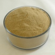 Rosemary Ground